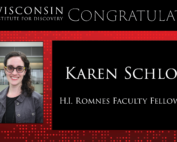 Congratulations Karen Schloss HI romnes award